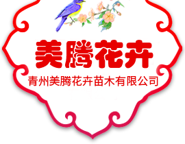 濰坊市派森特機(jī)械制造有限公司